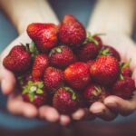 From Farm to Table: Supporting Local Producers Food and Drink Trends