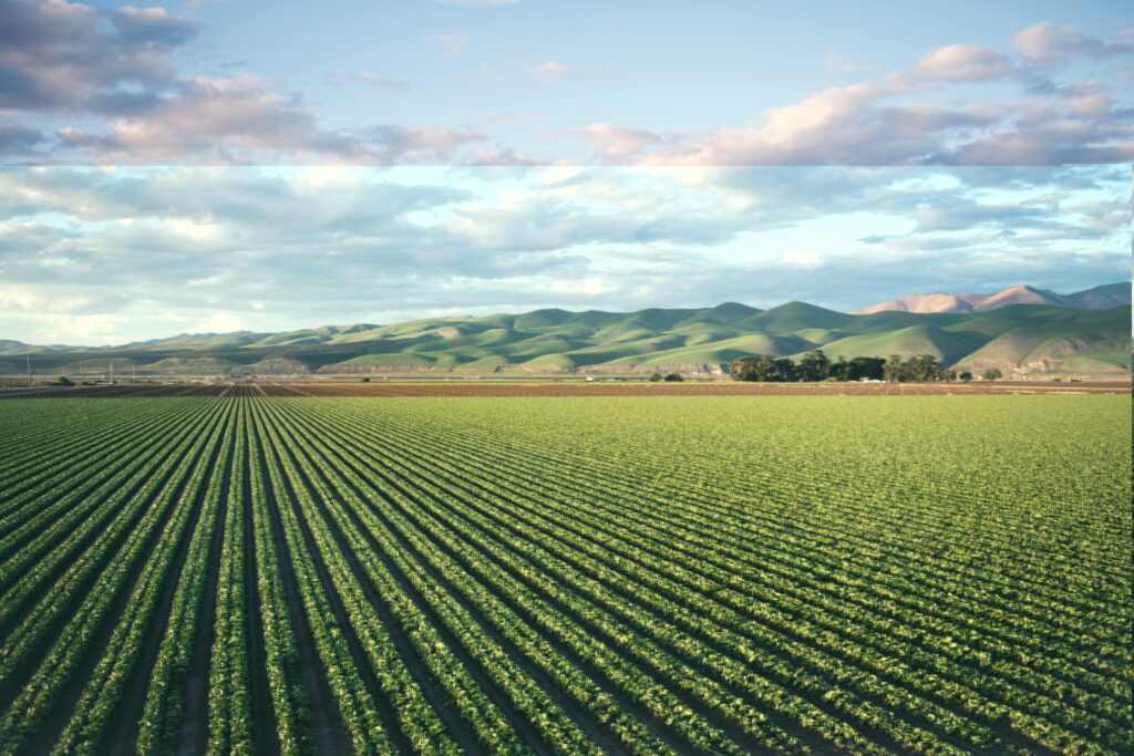 Sustainable Food Production: Making a Difference